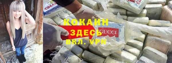 сатива Осинники