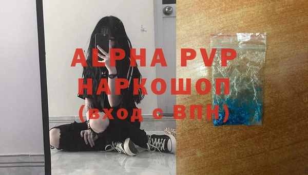 гидра Абаза