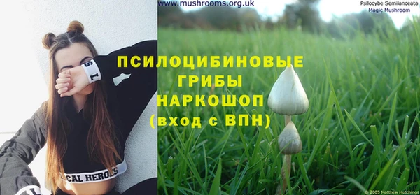 гидропоника Абдулино