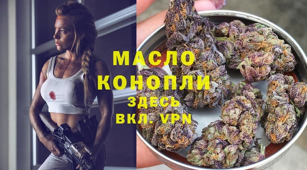гидра Абаза