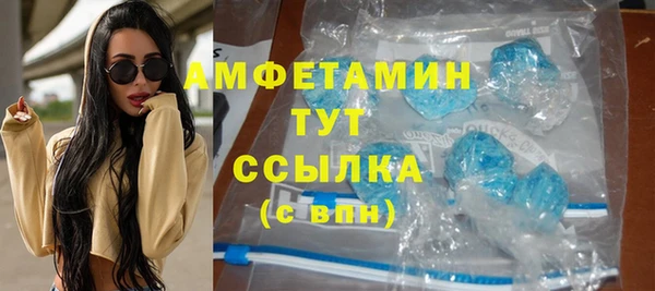гидра Абаза