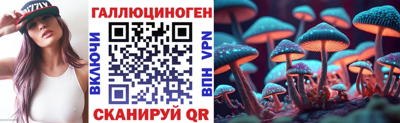 Псилоцибиновые грибы Psilocybine cubensis  купить  цена  Юхнов 